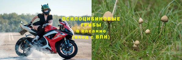 трава Алексеевка