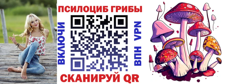 сколько стоит  Болгар  Галлюциногенные грибы MAGIC MUSHROOMS 